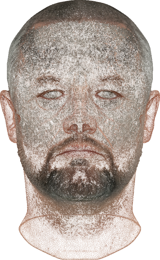 Eyes, nose, beard and ears, all exactly where they should be.