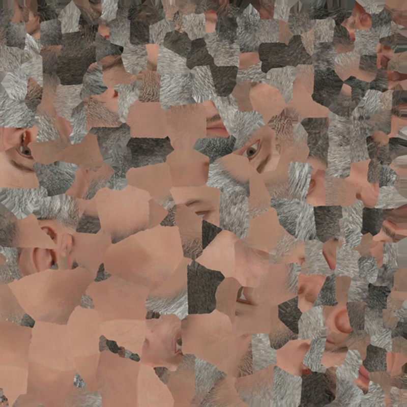 My face as a texture atlas. A patchwork quilt of skin, stubble and the occasional eyeball.